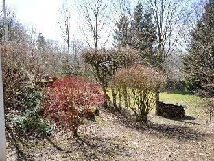 Panorama Comfortable holiday residence Vacation rental in Thuringia, Germany