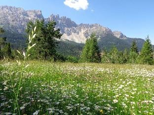 Elisabeth Comfortable holiday residence Vacation rental in Trentino-South Tyrol