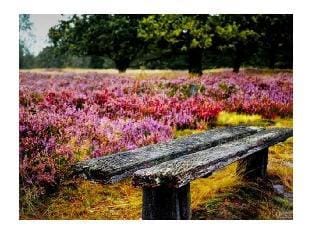 Oldaus Little Nest Vacation rental in Heidekreis