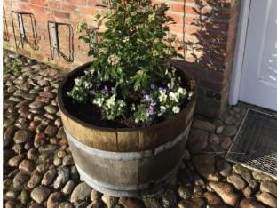 Favorite place Modern retreat Vacation rental in Nordfriesland