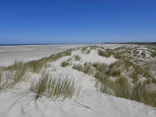 Siam Comfortable Holiday Residence Vacation rental in Borkum