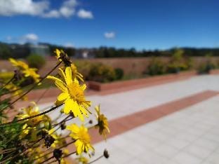 ★Condo w/ Rooftop Terrace (MEGATOWER)- Walk to SM★ Vacation rental in Baguio