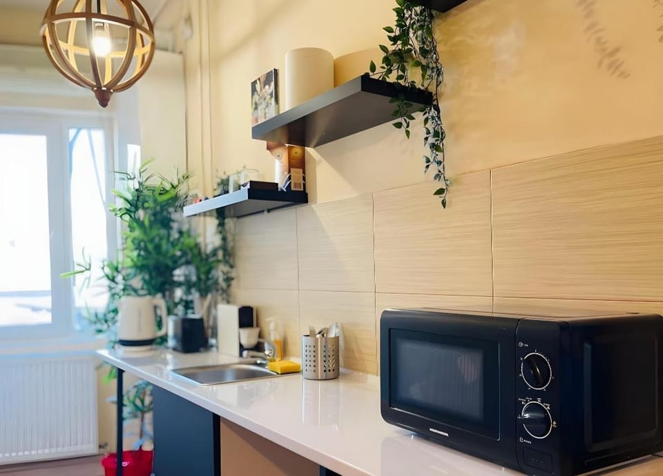 Elegant Getaway Calea Victoriei | 2 Room Apartment Apartment in Bucharest
