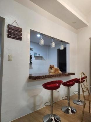 Green Glory Staycation in Amadeo Vacation rental in Calabarzon