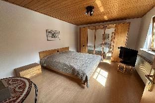 Villa Trexico Vacation rental in Mainz-Bingen