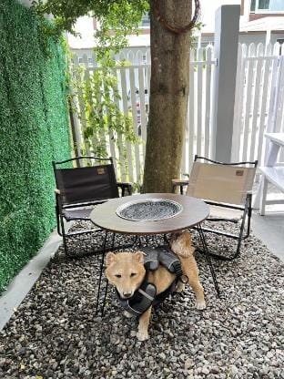 Uptown House Vacation rental in Bandung