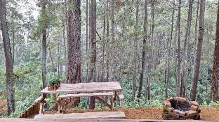 Villa kayu / Wood Cabin (Syariah/Halal) di lembang Villa in Lembang