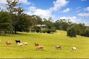 Regatta Park Retreat: where the land meets the sea Vacation rental in New South Wales