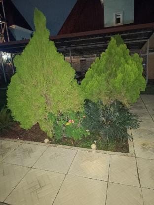 Liveth Propertires LTD Apartment in Abuja