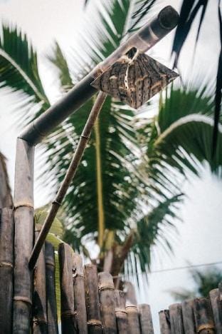 MAO MAO SURF Vacation rental in General Luna
