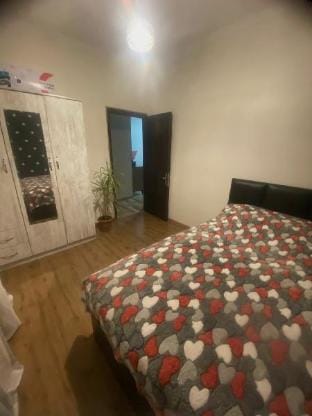 The most hospitable and cozy place Apartment in Georgia