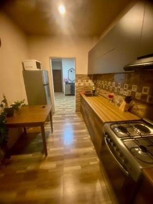 The most hospitable and cozy place Apartment in Georgia