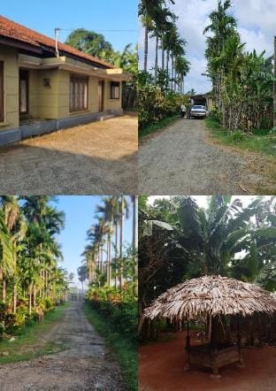 Luxury Holiday Bungalow for Rent in Jaffna Vacation rental in Sri Lanka