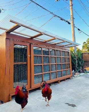 Villa with ponies and a cow/Dog Friendly Vacation rental in Chiba Prefecture