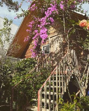 Khu Chi Lang Houses Vacation rental in Dalat