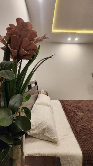 Compact little 1bhk Apartment in Islamabad