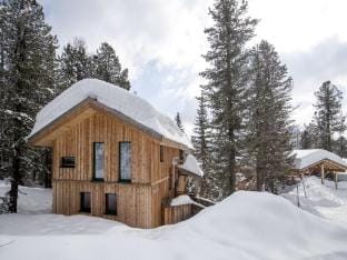 Modern cottage with whirlpool Vacation rental in Carinthia, Austria