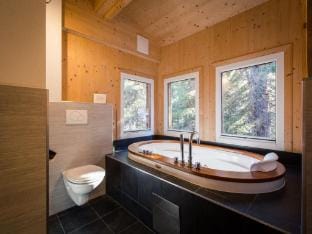 Chalet in Austria near Ski Slope  Sauna Vacation rental in Carinthia, Austria