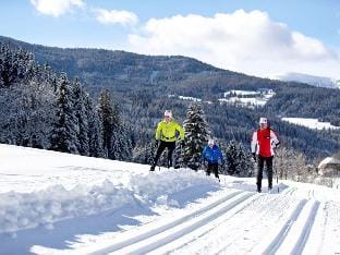 Cosy chalet with infrared sauna Vacation rental in Carinthia, Austria