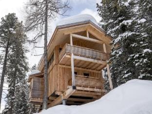 Amazing chalet with sauna Vacation rental in Carinthia, Austria