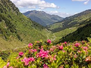 Chalet in Zillertal near Ski Slopes Vacation rental in Tyrol