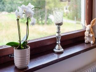 Dog-friendly chalet in Bregenzerwald Apartment in Vorarlberg, Austria