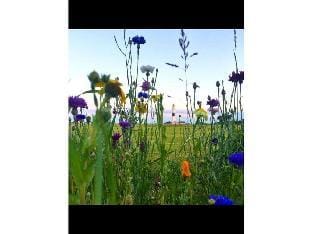 Colette and Oliver Ewald Vacation rental in Westerland