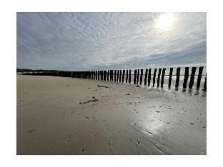 Chalet Breskens Beach Vacation rental in Zeeland, Netherlands
