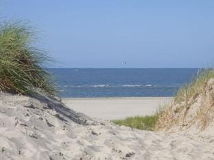 Dandelion Modern retreat Vacation rental in Lower Saxony, Germany