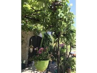 Oud Wijnhuis Mas Vacation rental in Provence-Alpes-Côte d'Azur