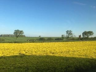 Seeschwalbe Comfortable holiday residence Vacation rental in Mecklenburg-Vorpommern, Germany