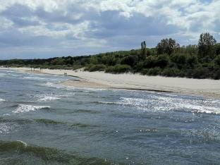 Cabin Comfortable holiday residence Vacation rental in Heringsdorf