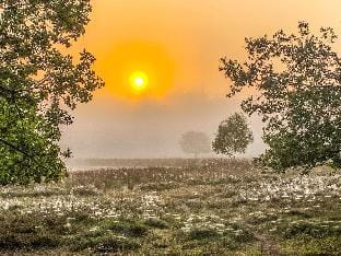 Apartment in Drenthe near Scenic Trails Vacation rental in Drenthe (province)