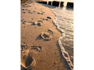 Beach holiday Comfortable holiday residence Vacation rental in Mecklenburg-Vorpommern, Germany