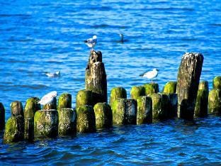 Earth Comfortable holiday residence Vacation rental in Mecklenburg-Vorpommern, Germany