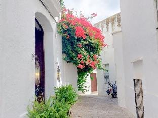 Pura Vida - Apartment In Vejer De La Frontera Vacation rental in Vejer de la Frontera