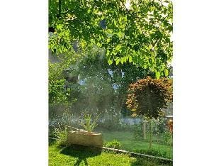 Am Park Comfortable holiday residence Vacation rental in Fulda