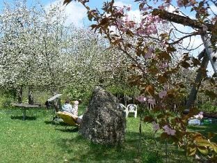 Hiemer 2 Comfortable holiday residence Vacation rental in Tyrol