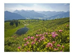 Alpine Lodge Comfortable holiday residence Vacation rental in Tyrol