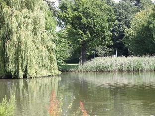 On the spa promenade Vacation rental in Lubeck