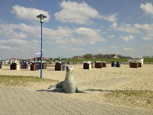 Deichperle beautiful beach location Vacation rental in Neuharlingersiel