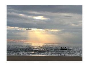 Muijs Comfortable holiday residence Vacation rental in North Holland (province)