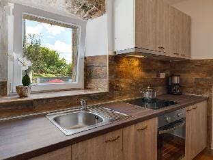 Villa Zoro Comfortable holiday residence Vacation rental in Istria County