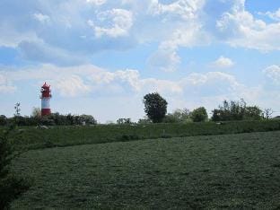 Midgard Comfortable holiday residence Vacation rental in Region of Southern Denmark