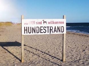 Weitkamper Comfortable holiday residence Vacation rental in Kappeln
