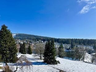 Holiday apartment Harz holiday Vacation rental in Goslar