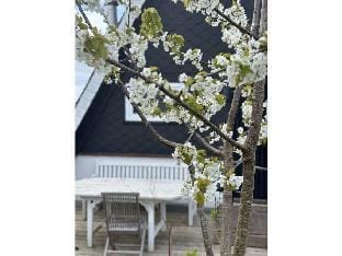 Anna Schlei Comfortable holiday residence Vacation rental in Schleswig-Holstein