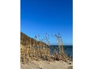Eilrich Comfortable holiday residence Vacation rental in Mecklenburg-Vorpommern, Germany