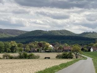 Summit happiness at the purple beech Vacation rental in Goslar