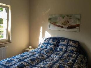 Gowe Comfortable holiday residence Vacation rental in Mecklenburg-Vorpommern, Germany